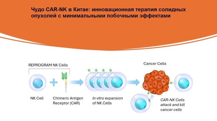 Чудо CAR-NK в Китае: инновационная терапия солидных опухолей с минимальными побочными эффектами