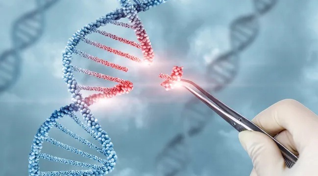 Gene Therapy: The Frontier of Modern Medicine — A Perspective from China