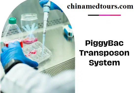 Система транспозонов PiggyBac: Революция в генной терапии рака