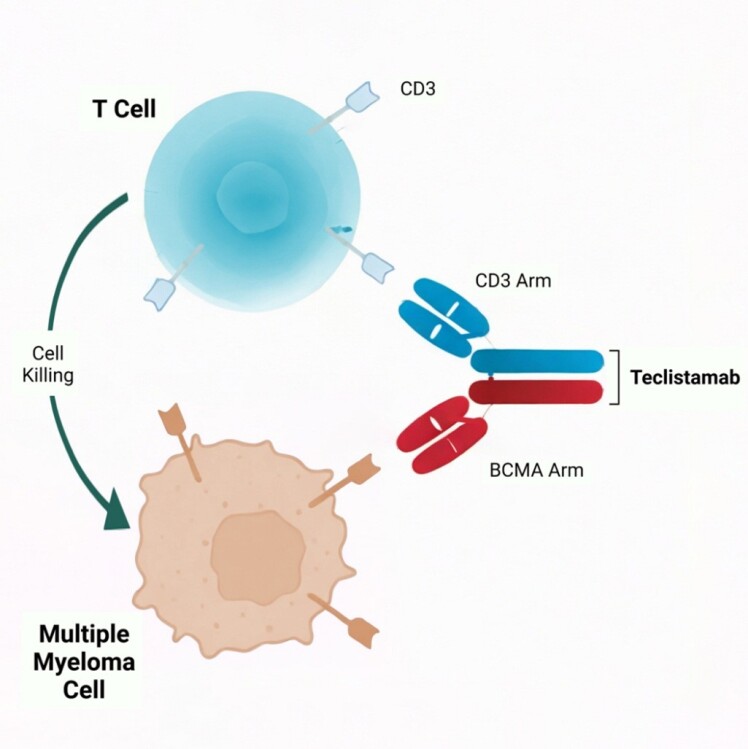 NMPA Approves FUCASO for Multiple Myeloma in China