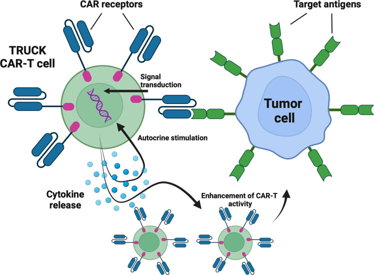 Next-Generation CAR-T Cell Therapy for Lymphoma: Innovation, Challenges, and Clinical Perspectives