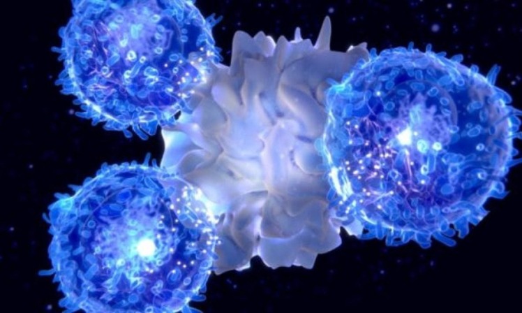  Gamma Delta T-Cell Therapy: A Breakthrough in Cancer Immunotherapy