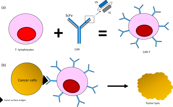 Revolutionizing Multiple Myeloma Treatment in China: CAR T-Cell Therapy